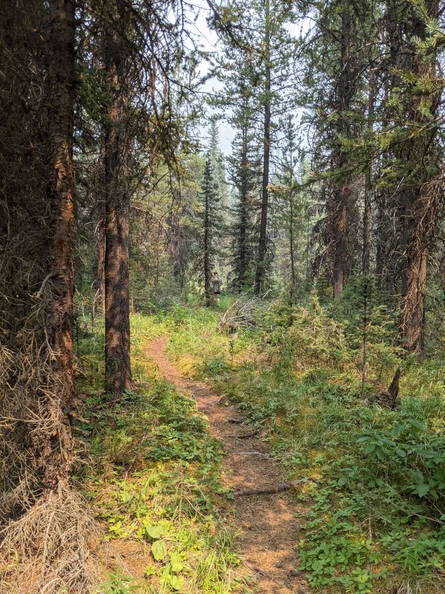 trail
